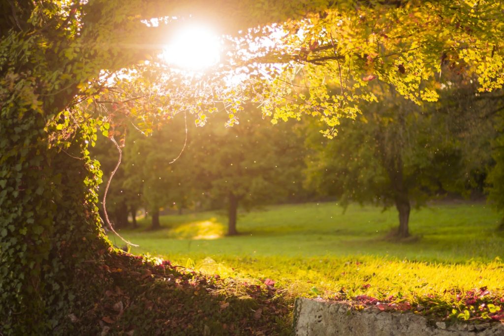 Sunshine weather in Corkagh Park Dublin